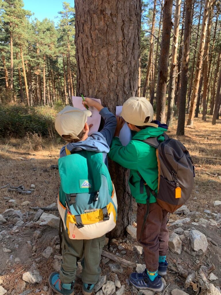 Técnicas de Bushcraft en el Club de Montaña