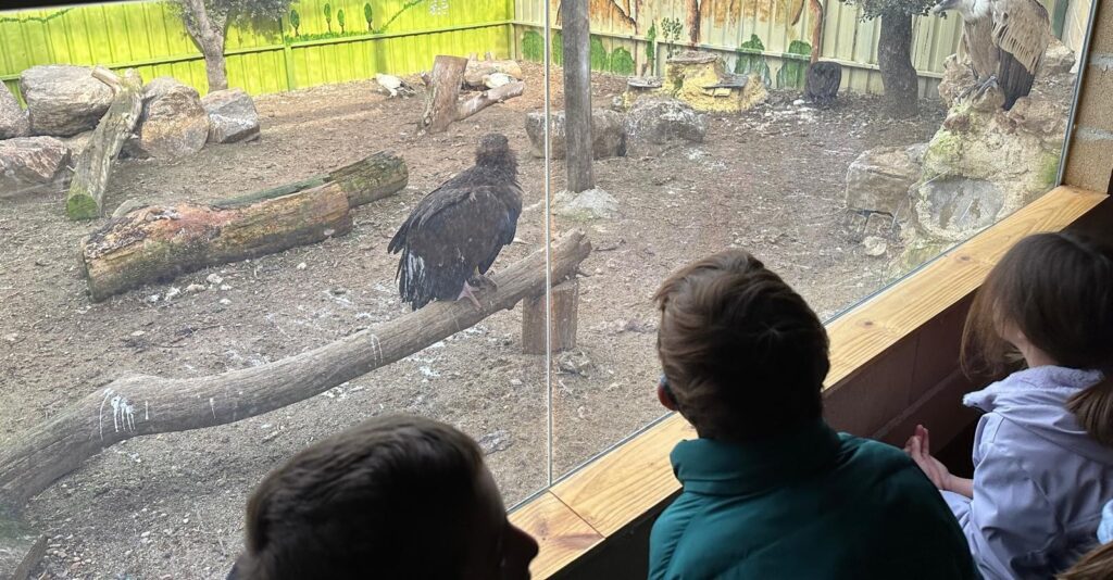 Diario de un día en GREFA con el Club de Montaña